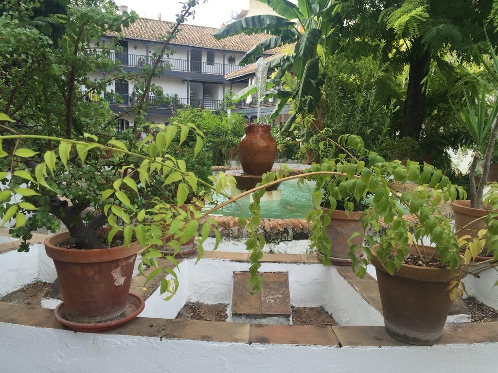 Oasis En El Centro De Sevilla Kültér fotó